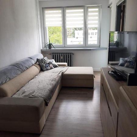 Apartament Komfortowy - W Pelni Wyposazony - Spaceapart Daire Jelenia Gora Dış mekan fotoğraf